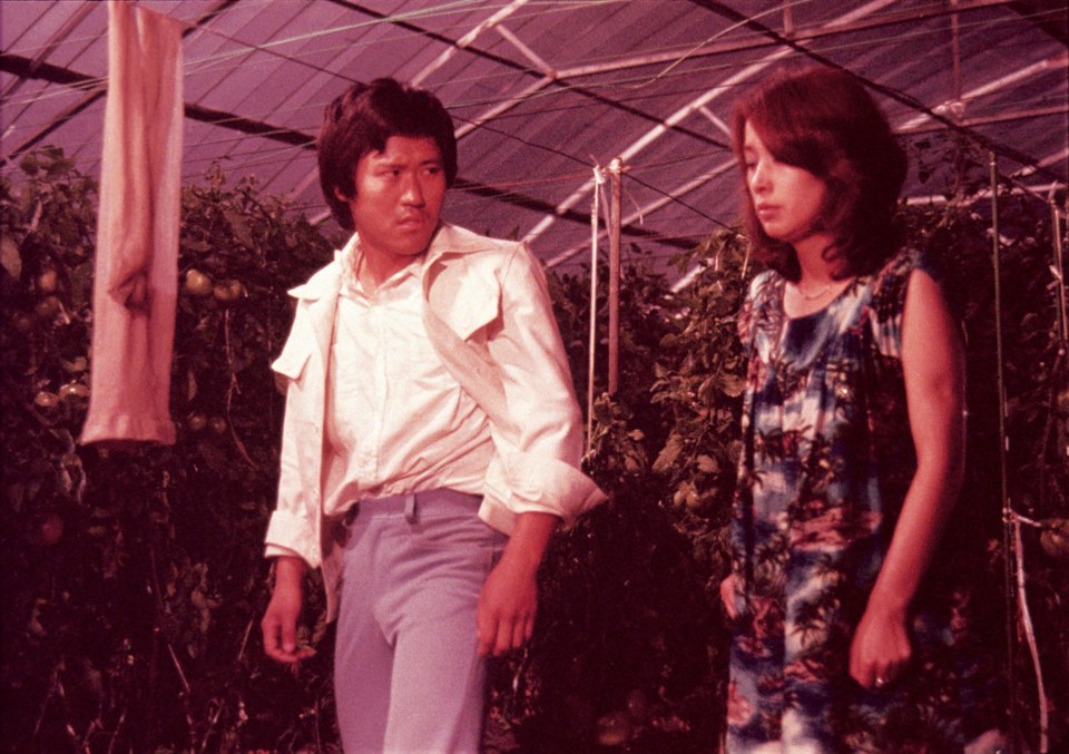 立松和平日本を歩く (第6巻) 立松和平 | ダ・ヴィンチWeb